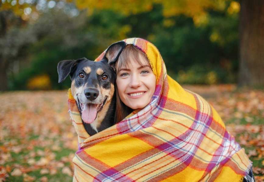 Should Your Pets Be In Your Will?