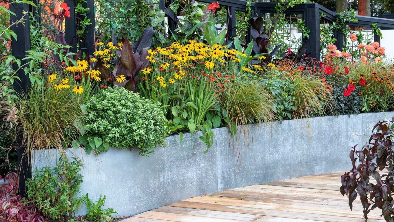 How tall should a raised garden bed be? Gardening experts offer essential advice