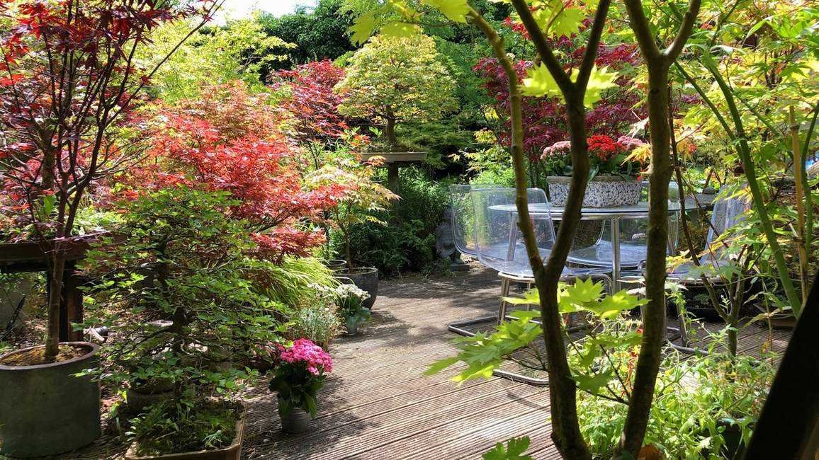 When to prune trees – experts reveal the best timings