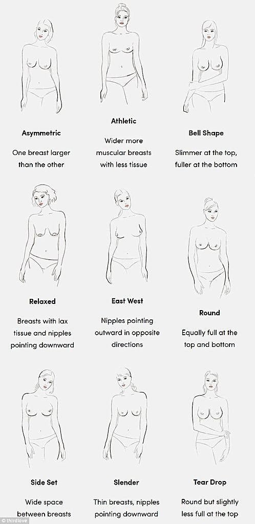 Understanding the Different Types of Breast Shapes