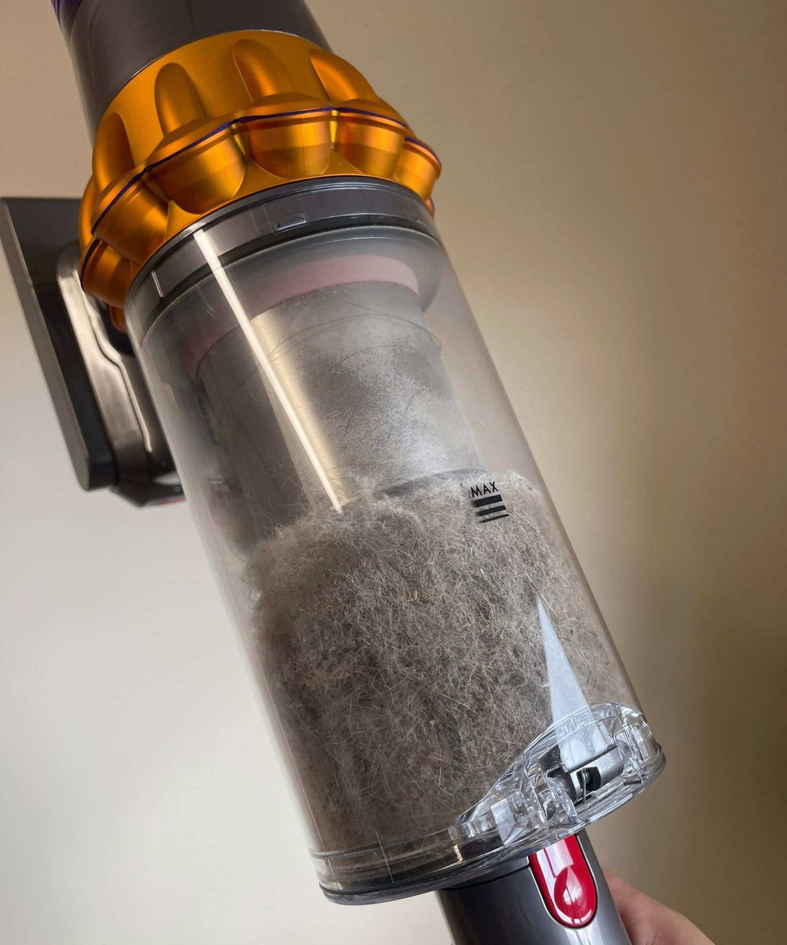 Dyson V15 Detect dustbin full of dust and pet hair from vacuuming at the Bristol Animal Rescue Center