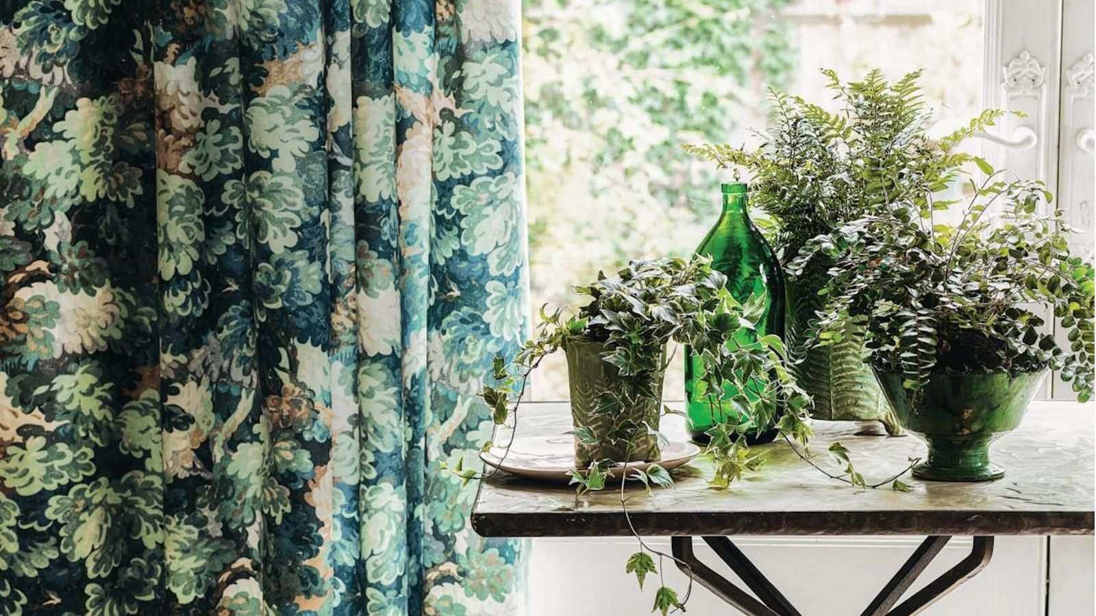 I Do This 3-Second Houseplant Trick Every April for Fuller Foliage, Even Growth, and Better Pest Control